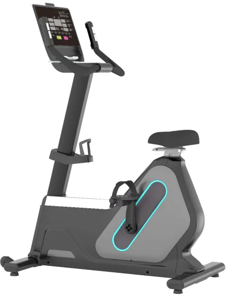 Odin PRO B1200 Heimtrainer